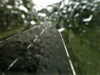 20200913-MOVI0077-frame0001.jpg