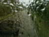 20200913-MOVI0077-frame0004.jpg