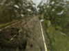 20200913-MOVI0077-frame0005.jpg