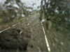 20200913-MOVI0078-frame0001.jpg