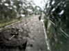 20200913-MOVI0078-frame0003.jpg