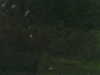 20200913-MOVI0080-frame0002.jpg