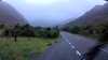 20200913-055615A-frame0003.jpg