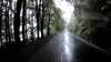 20200913-064115A-frame0005.jpg