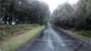 20200913-064615A-frame0001.jpg