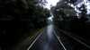 20200913-065615A-frame0004.jpg