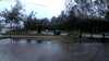 20200913-074115A-frame0004.jpg