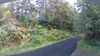 20200914-210956A-frame0003.jpg