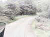 20200914-MOVI0020-frame0005.jpg
