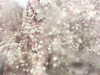 20200915-MOVI0000-frame0002.jpg