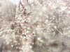 20200915-MOVI0000-frame0003.jpg