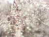 20200915-MOVI0000-frame0004.jpg