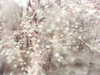 20200915-MOVI0000-frame0005.jpg