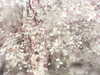 20200915-MOVI0001-frame0003.jpg