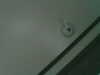 20200915-MOVI0013-frame0002.jpg
