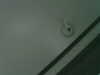 20200915-MOVI0013-frame0003.jpg