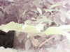 20200915-MOVI0024-frame0002.jpg
