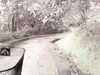 20200915-MOVI0025-frame0002.jpg