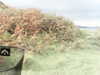 20200915-MOVI0031-frame0003.jpg