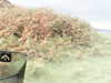 20200915-MOVI0031-frame0004.jpg