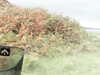 20200915-MOVI0032-frame0001.jpg