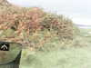 20200915-MOVI0032-frame0002.jpg