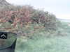 20200915-MOVI0033-frame0001.jpg