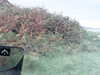 20200915-MOVI0033-frame0002.jpg