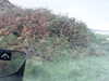 20200915-MOVI0033-frame0004.jpg