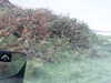 20200915-MOVI0034-frame0002.jpg