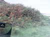 20200915-MOVI0034-frame0003.jpg