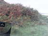 20200915-MOVI0034-frame0005.jpg
