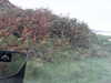20200915-MOVI0035-frame0001.jpg