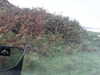20200915-MOVI0035-frame0003.jpg