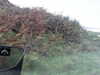20200915-MOVI0035-frame0004.jpg