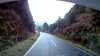 20200915-005752A-frame0003.jpg