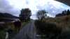 20200915-034242A-frame0005.jpg