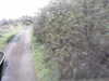 20200916-MOVI0003-frame0003.jpg
