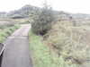 20200916-MOVI0003-frame0005.jpg