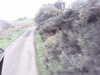 20200916-MOVI0004-frame0002.jpg