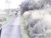 20200916-MOVI0004-frame0003.jpg