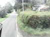 20200916-MOVI0004-frame0005.jpg