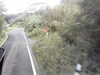 20200916-MOVI0005-frame0003.jpg