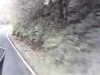 20200916-MOVI0006-frame0001.jpg