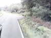 20200916-MOVI0008-frame0003.jpg
