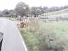 20200916-MOVI0009-frame0002.jpg