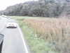 20200916-MOVI0010-frame0001.jpg