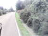 20200916-MOVI0013-frame0002.jpg