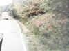 20200916-MOVI0014-frame0004.jpg
