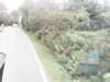 20200916-MOVI0014-frame0005.jpg